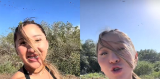 Influencer causa indignación tras ahuyentar flamencos en Yucatán