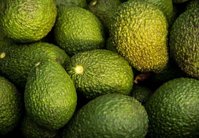 Aguacate (2)