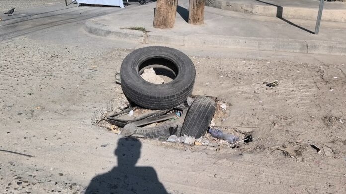 BACHES