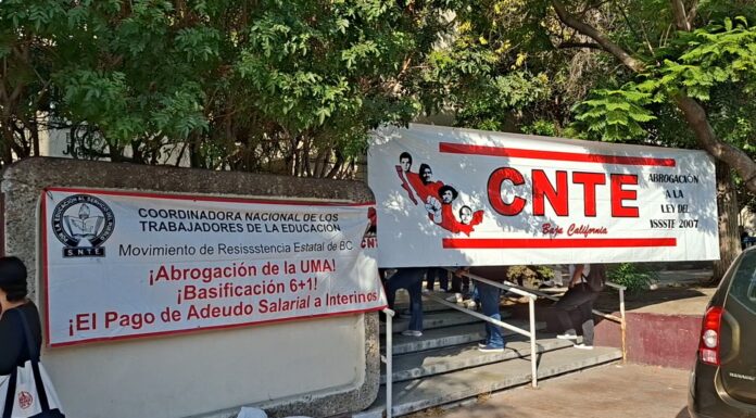 CNTE