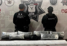 Detectan caso de “mula ciega” en la colonia Morelos