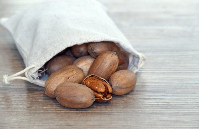Nueces_Pecanas_10-08-2026 (1)