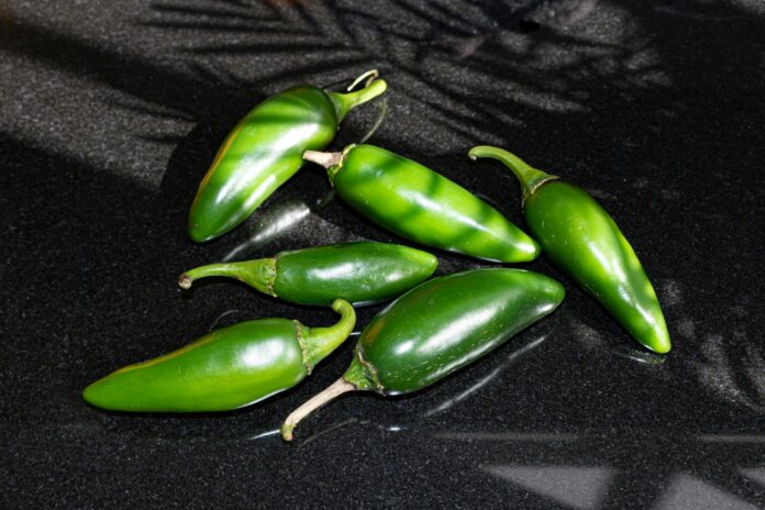 jalapenos-sinaloa-salmonela-eeuu-mexico
